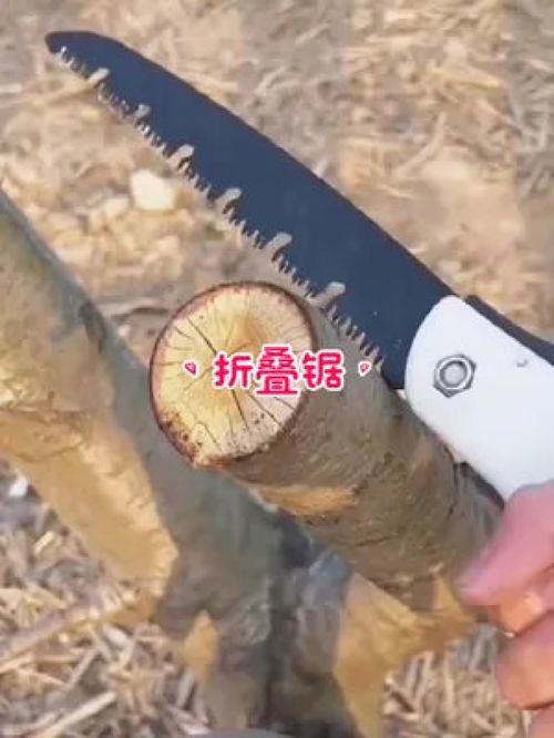 德國品質(zhì)，匠心之選 探索德國進口折疊手工鋸在園林工具中的卓越應用